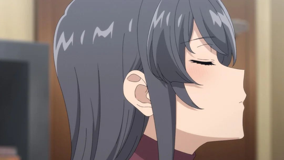 Rascal Does Not Dream Of A Knapsack Kid : Bild