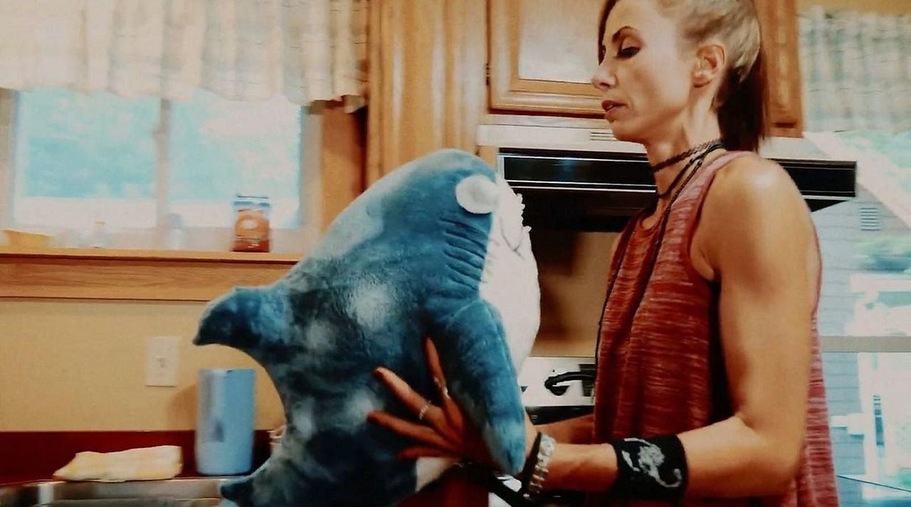 Doll Shark : Bild Danielle Donahue