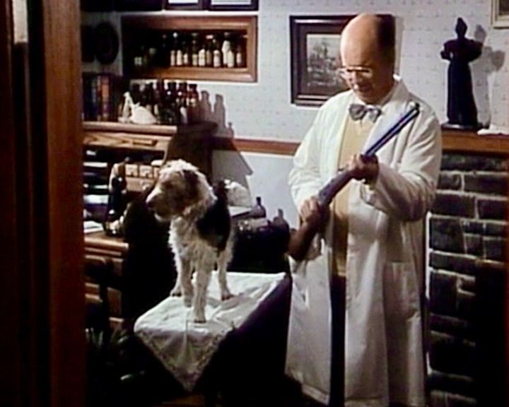 Die Spur der zweiten Frau : Bild