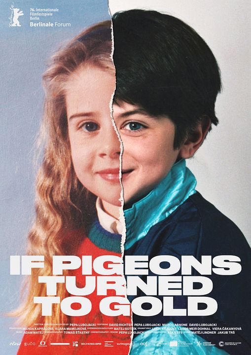 If Pigeons Turned to Gold : Kinoposter