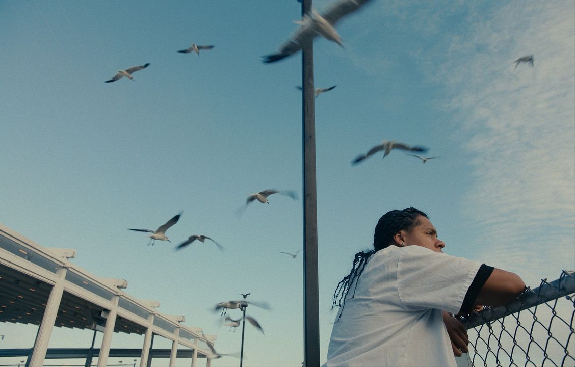 Mad Bills to Pay (or Destiny, dile que no soy malo) : Bild