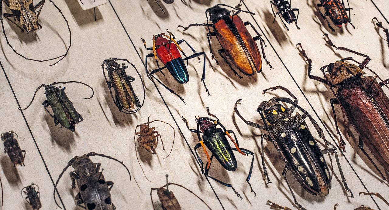 Archiv der Zukunft : Bild