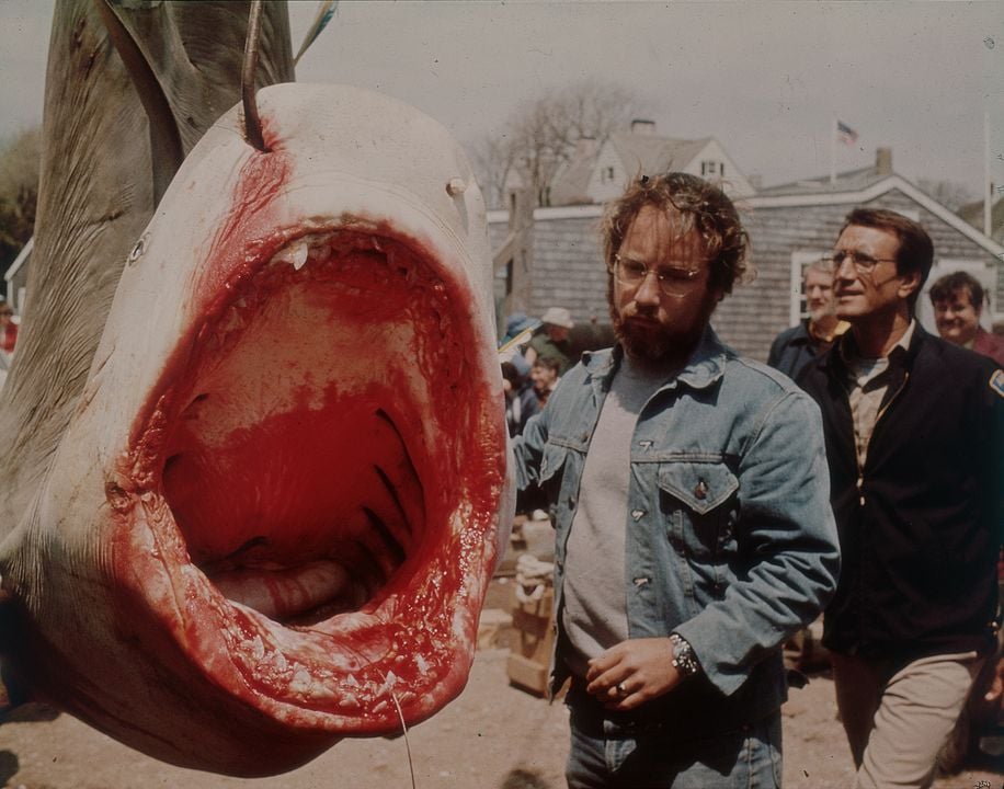 Der weiße Hai : Bild