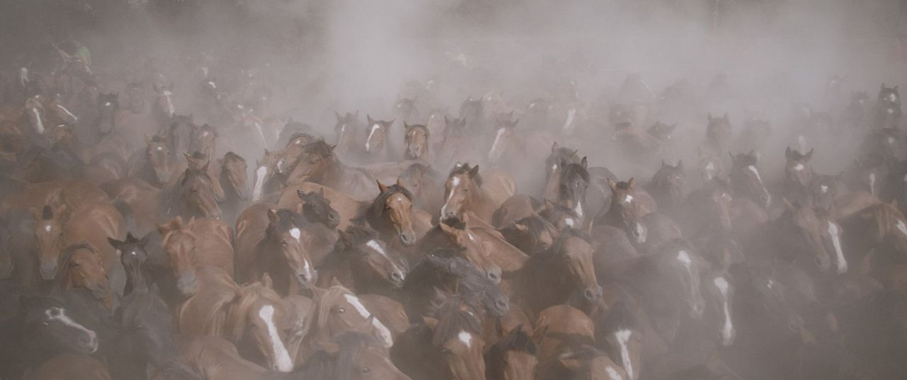 Only on Earth : Bild