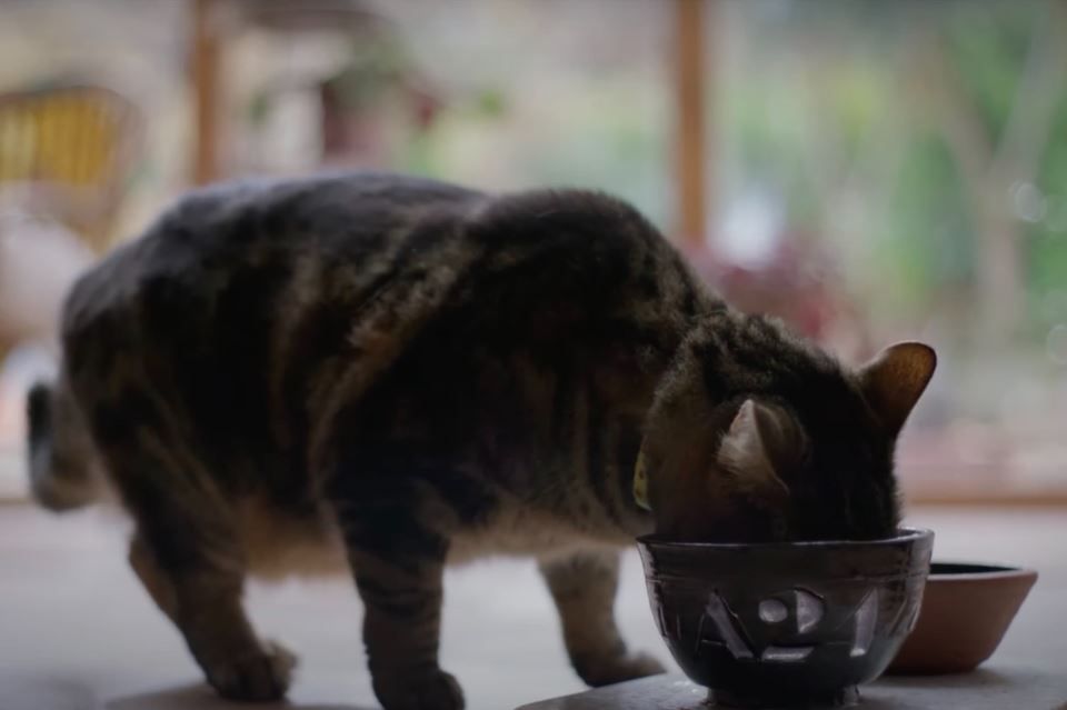 Bring Her Back : Bild