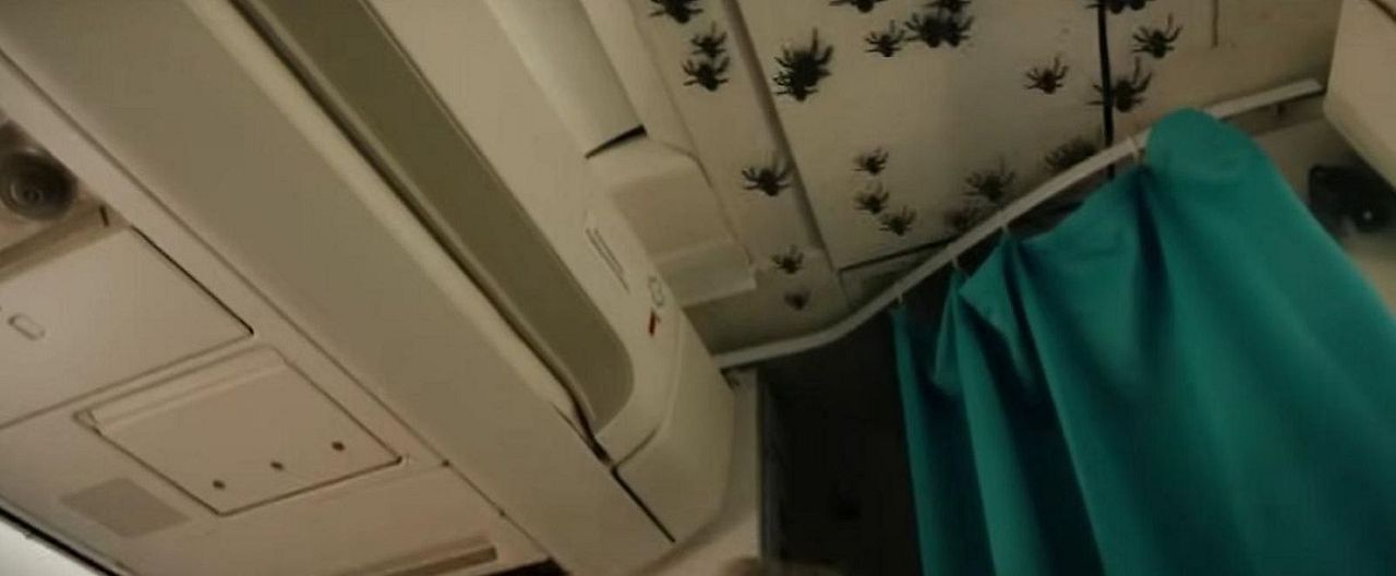 Spiders On A Plane : Bild