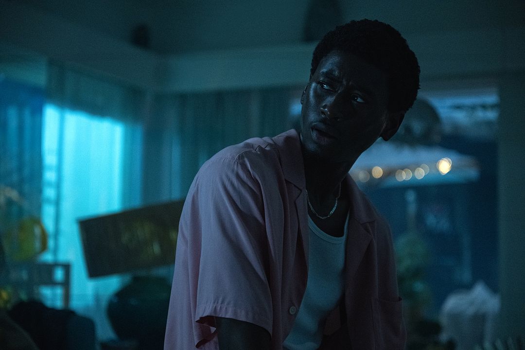 Primate : Bild Tienne Simon