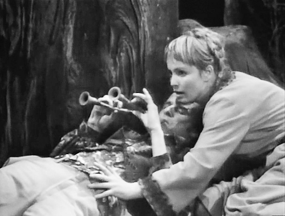 Der Troll und der Musikant : Bild