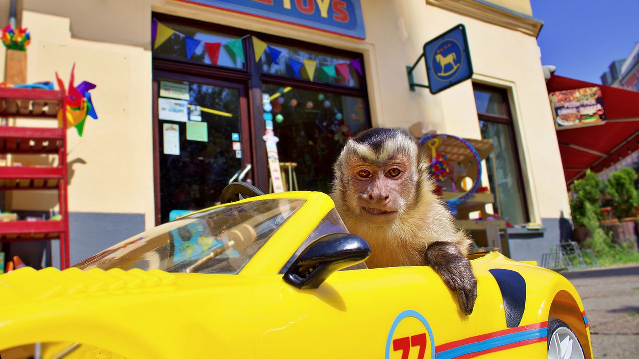 Akiko – Der fliegende Affe : Bild Monty der Affe