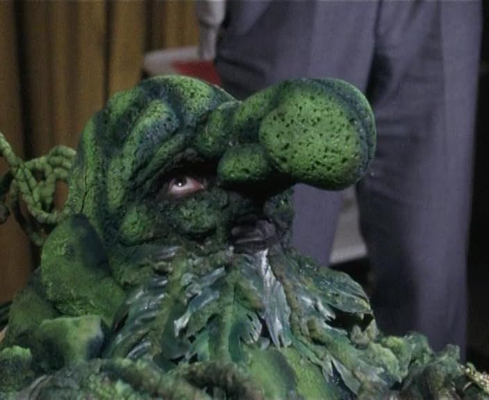 Wir pfeifen auf den Gurkenkönig : Bild