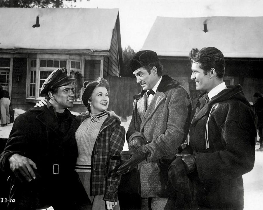 Allen Gefahren zum Trotz : Bild