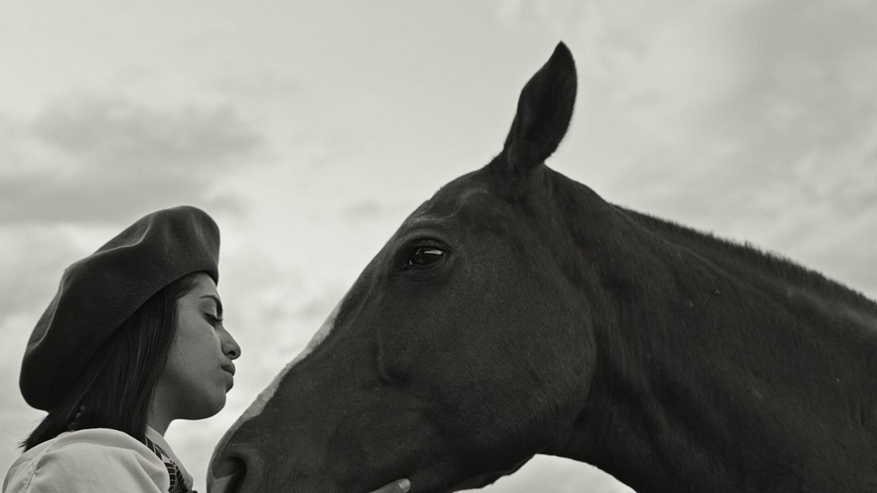 Gaucho Gaucho : Bild