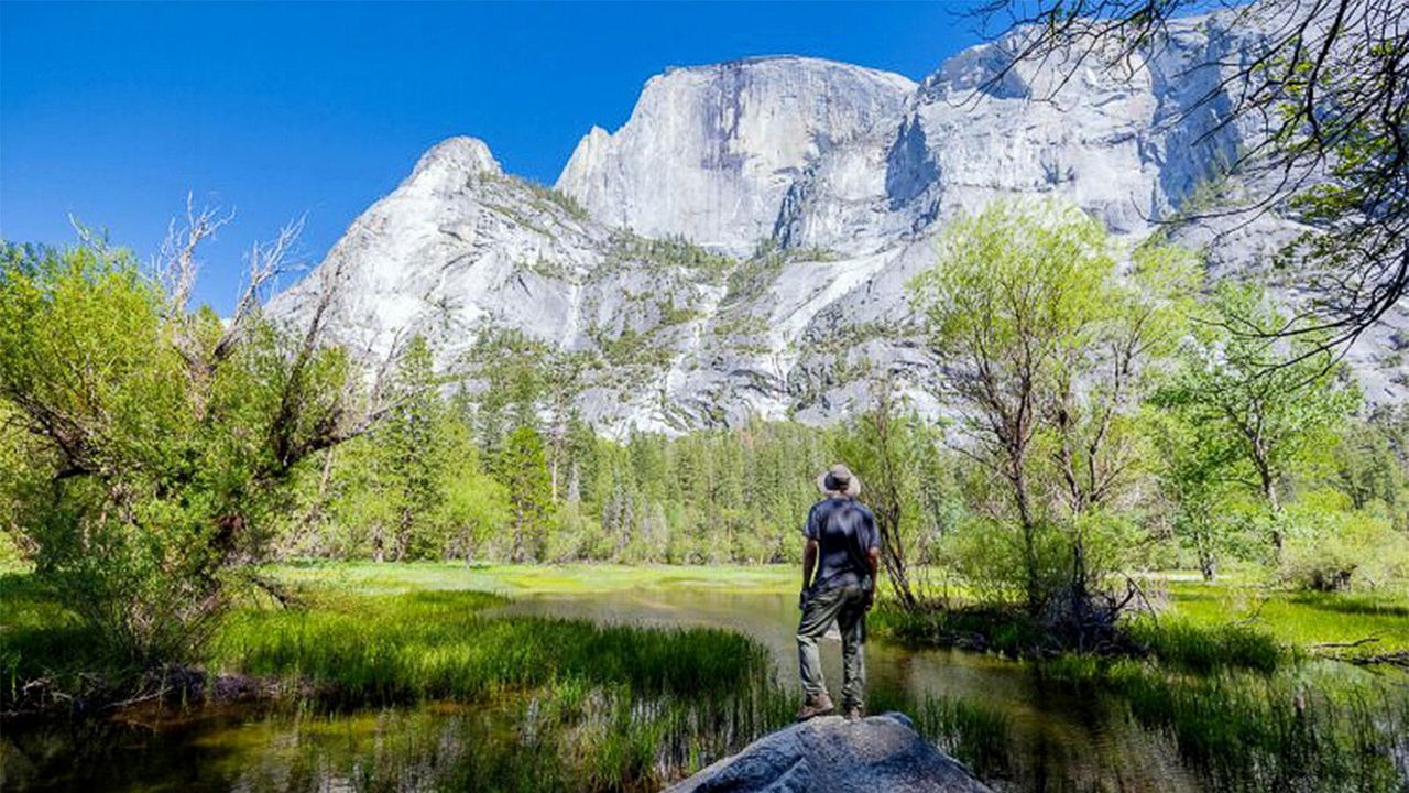 Natürlich verliebt - Marry Me in Yosemite : Bild