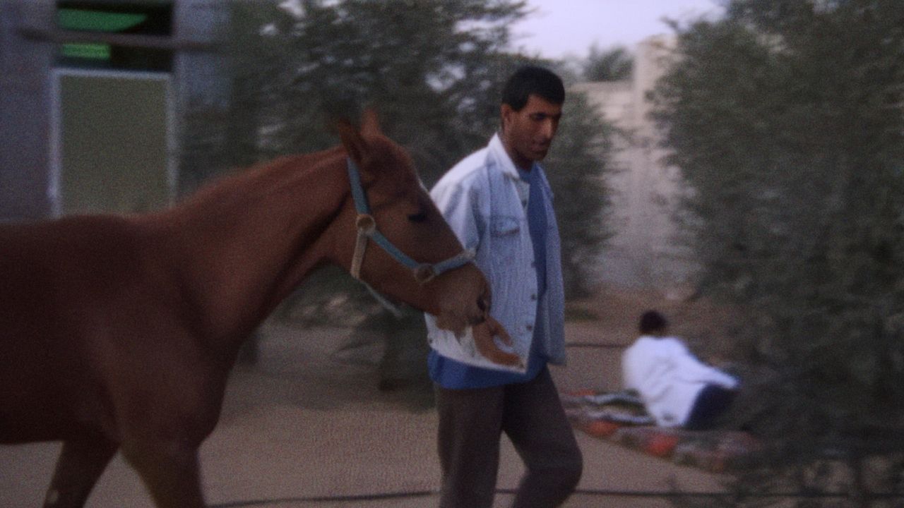 Mit Hasan in Gaza : Bild