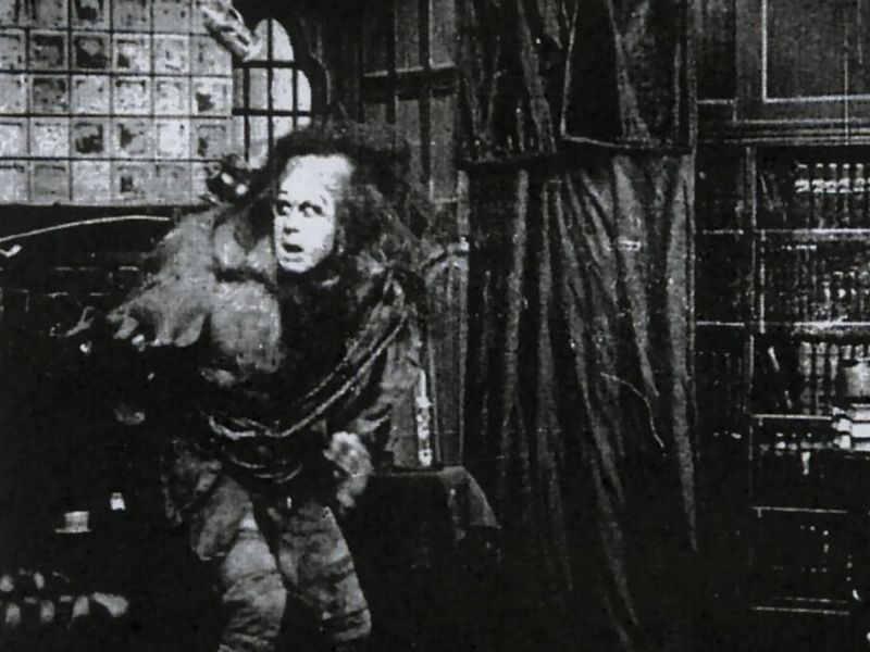 Frankenstein-Geschichten : Bild