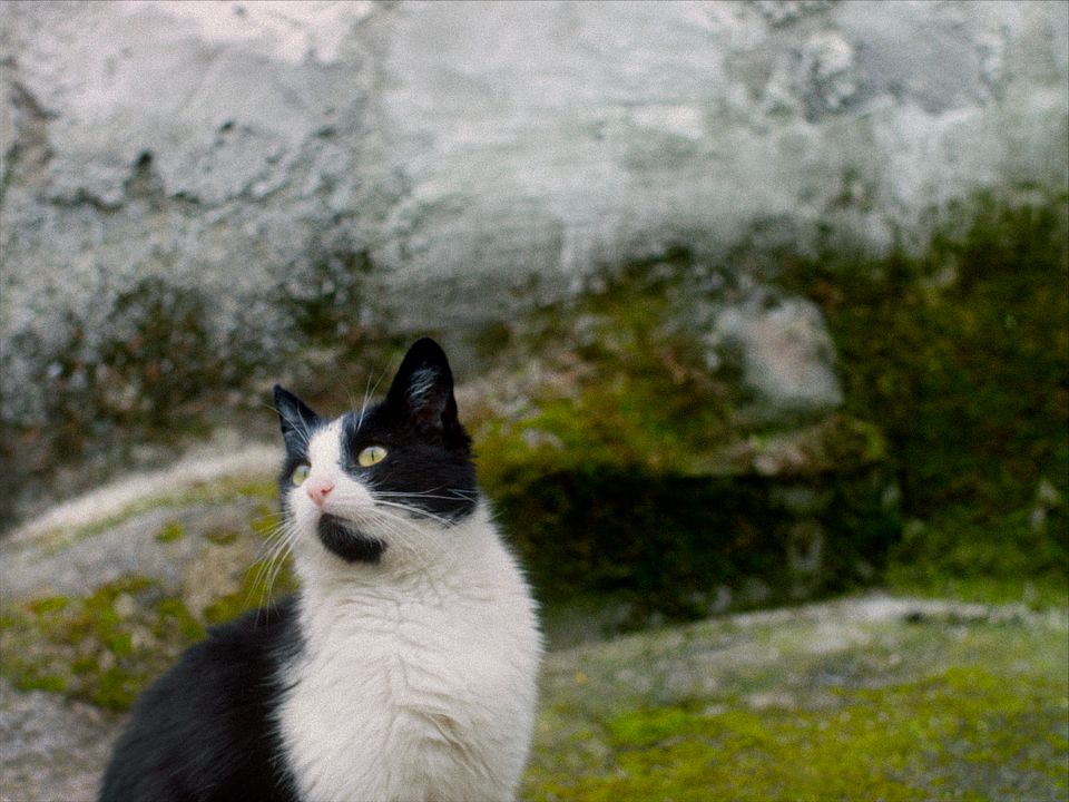 Stille Beobachter : Bild Marga 