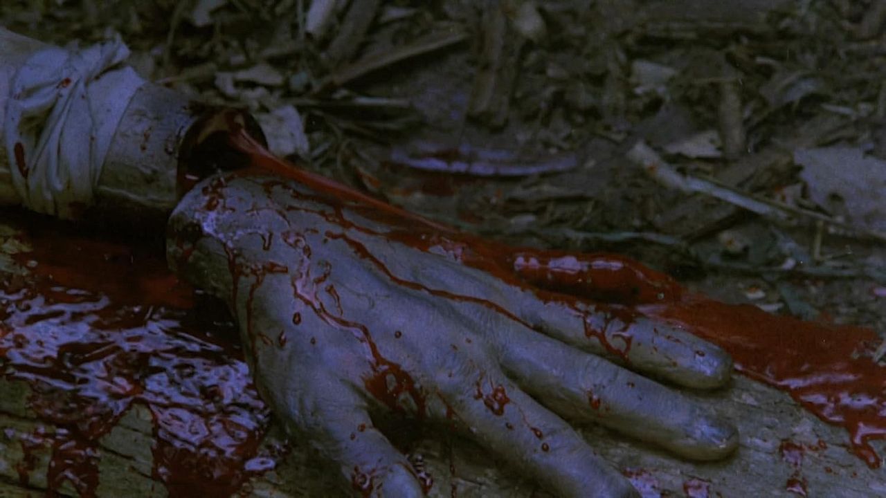 Dschungelinferno : Bild