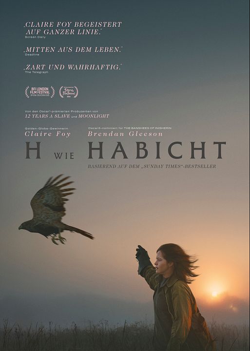 H wie Habicht : Kinoposter