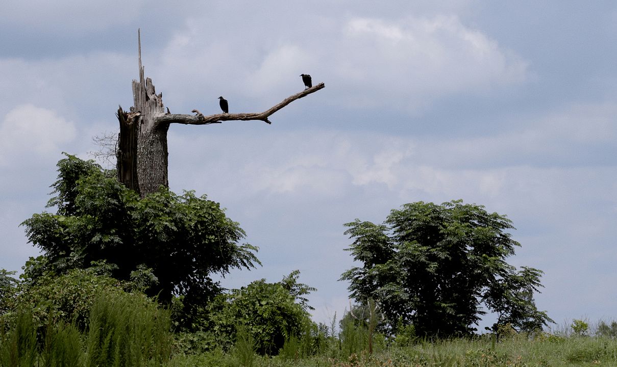 An Hour From The Middle Of Nowhere : Bild