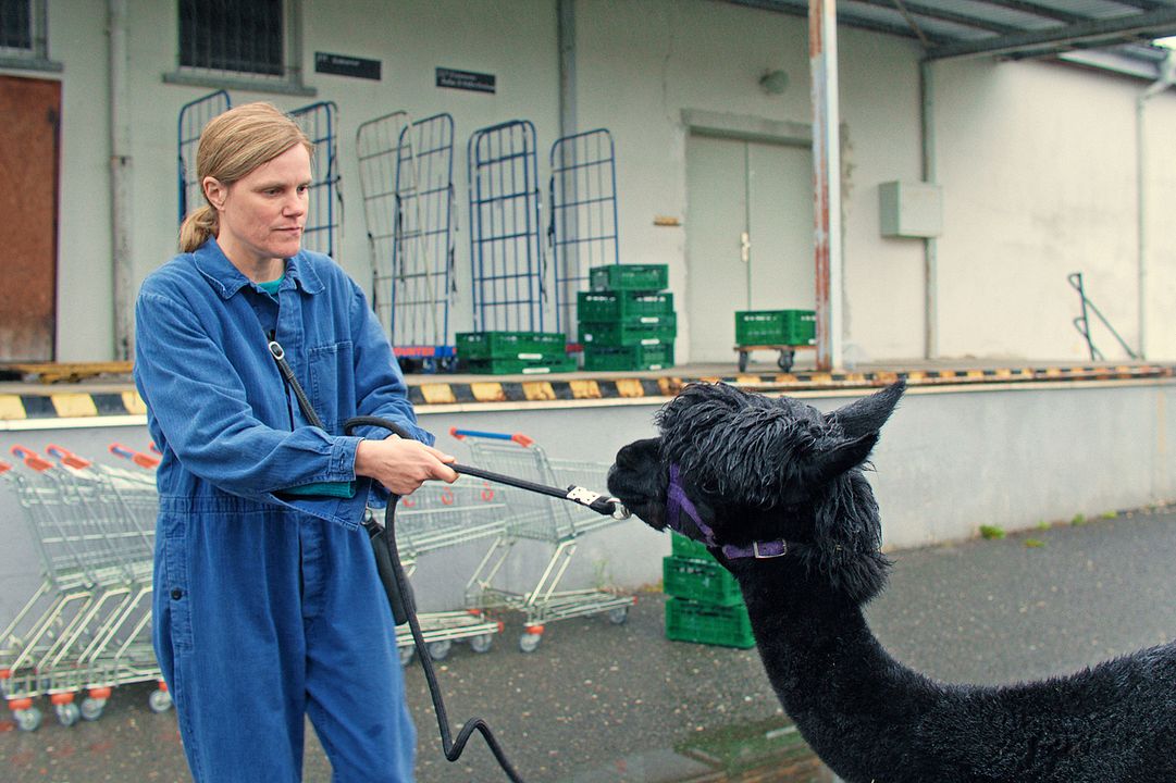 Wilma will mehr : Bild Fritzi Haberlandt
