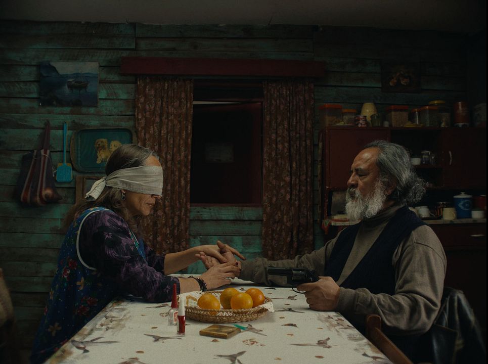 Der geheimnisvolle Blick des Flamingos : Bild Luis Dubó, Paula Dinamarca