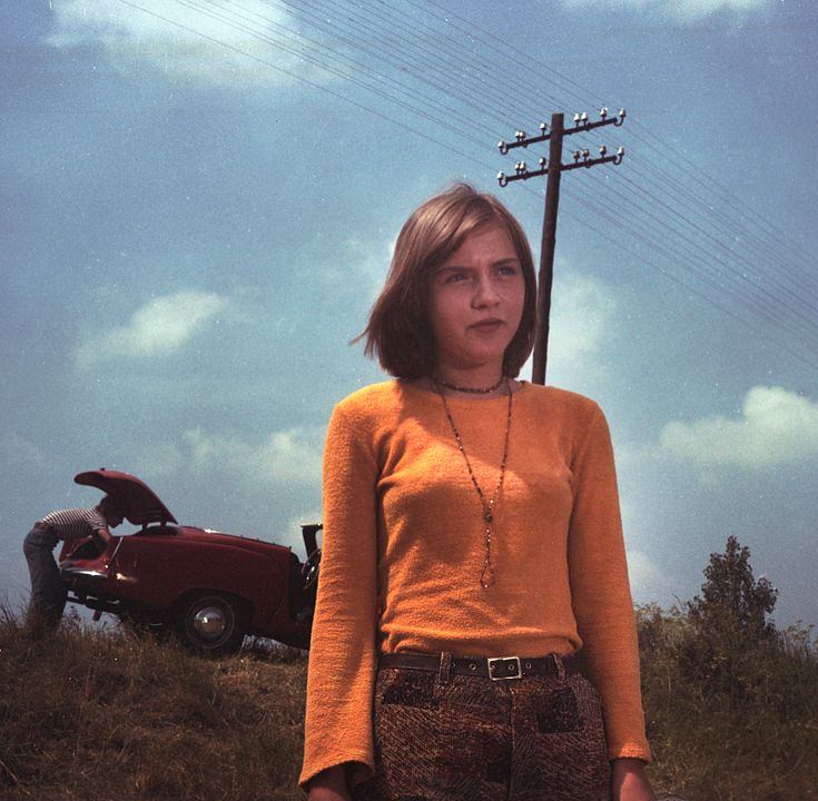 Trampen nach Norden : Bild