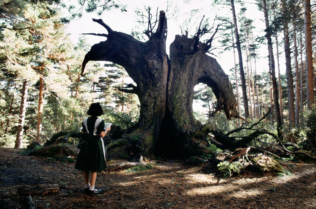 Pans Labyrinth : Bild Ivana Baquero