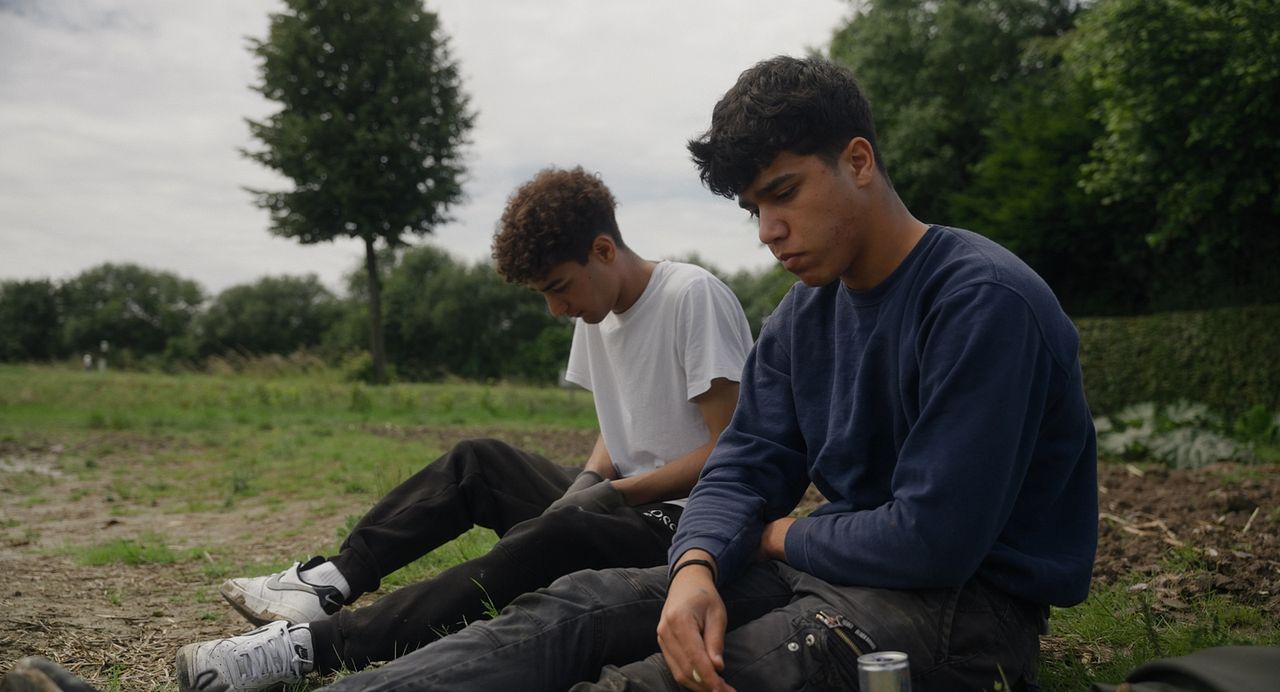 Wohin mit mir? : Bild