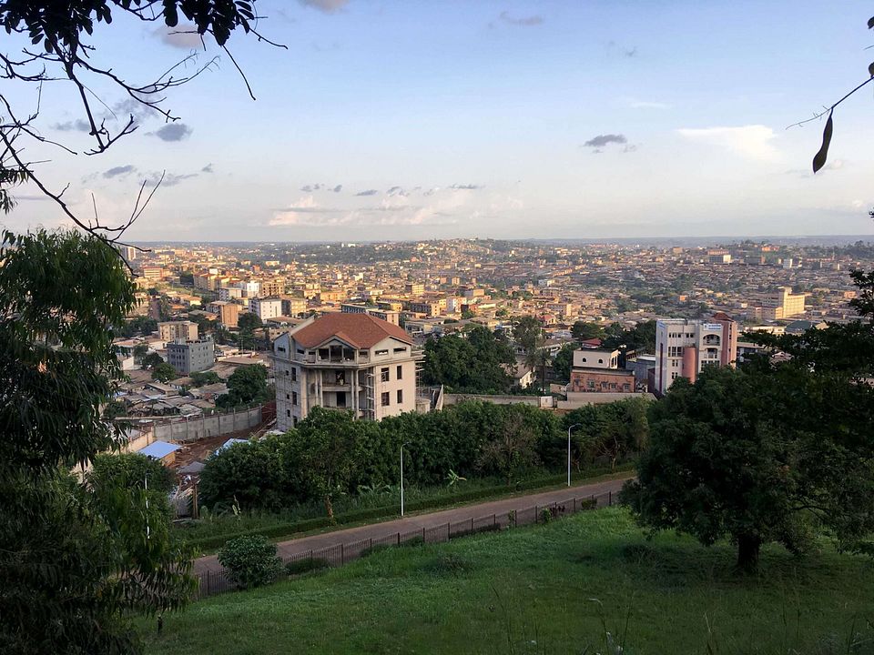 Code der Angst : Bild