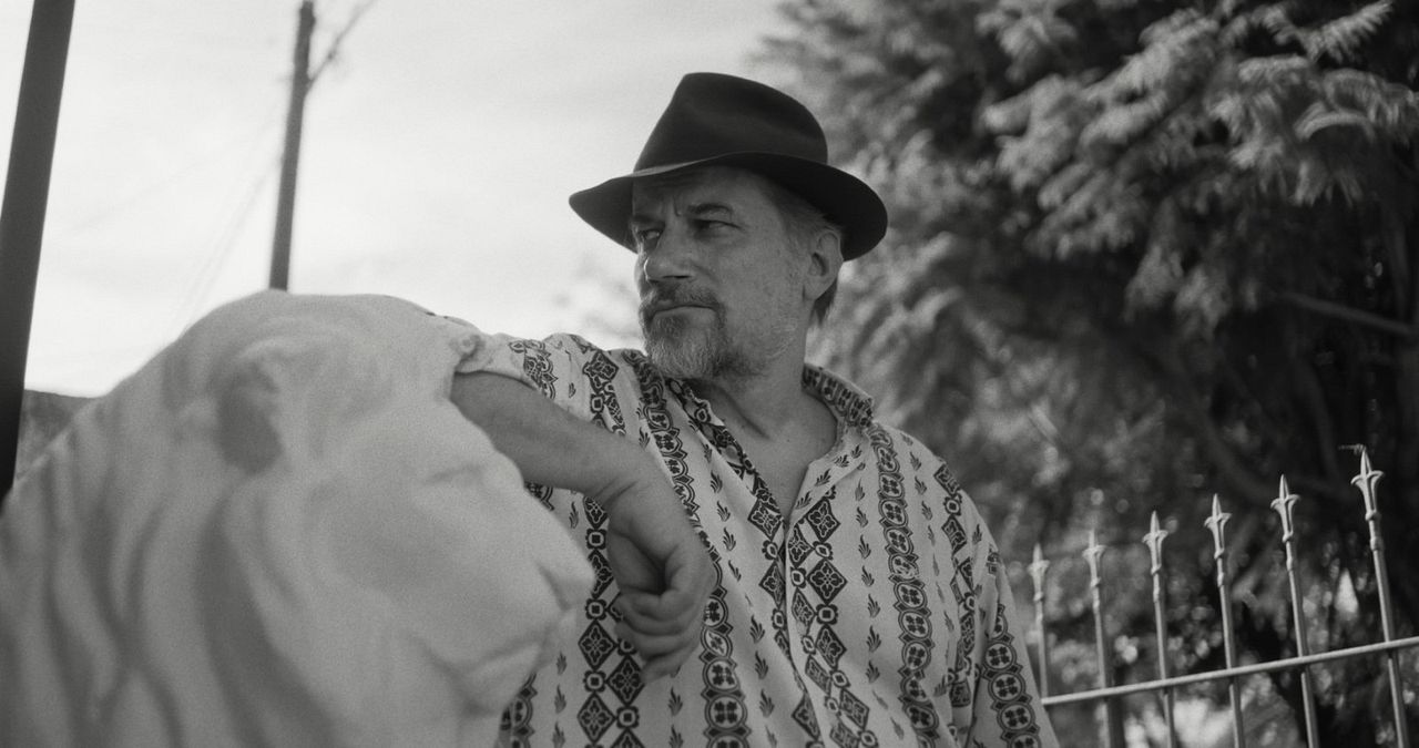 Die Nachricht : Bild