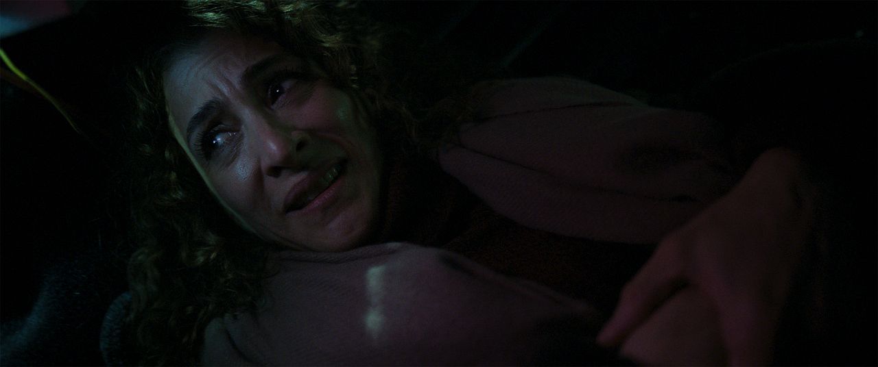 Haft Rooz : Bild Vishka Asayesh