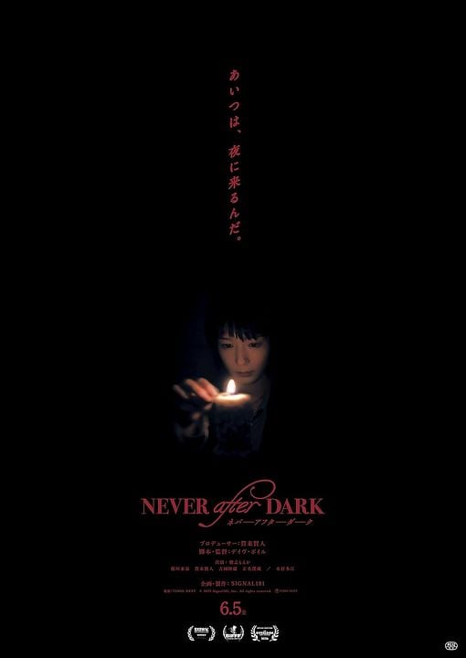 Never After Dark : Kinoposter