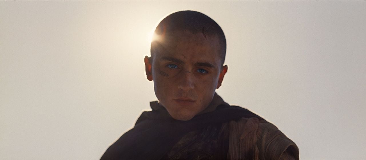 Dune 3 : Bild Timothée Chalamet