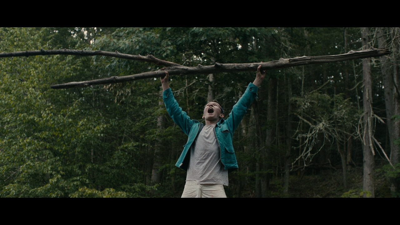 Verloren in der Wildnis : Bild