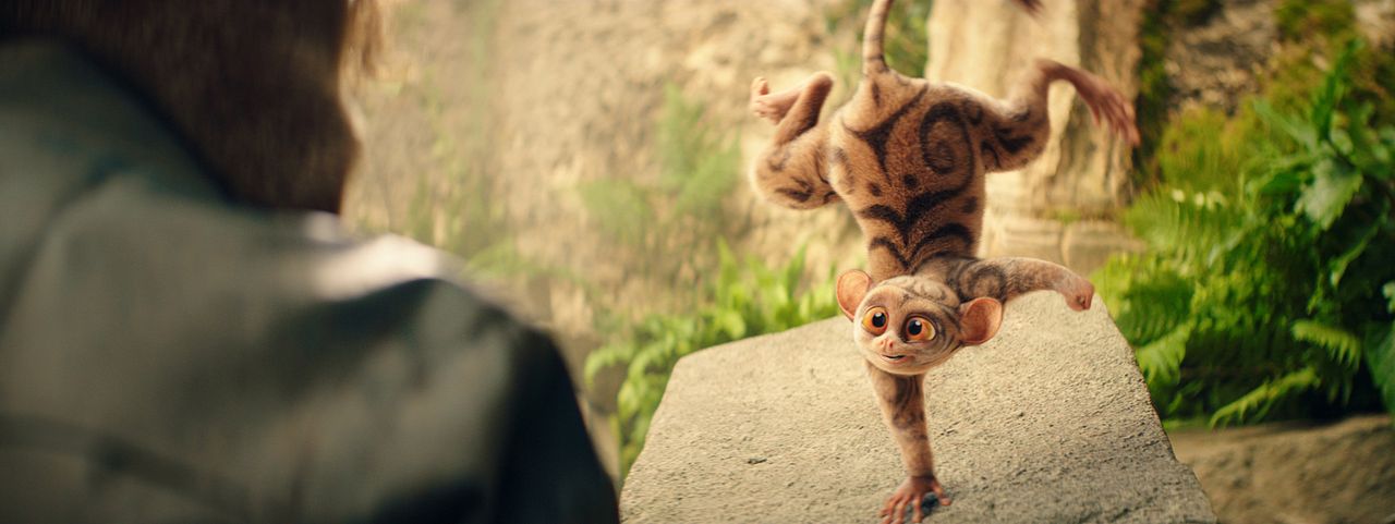 Die Schule der magischen Tiere 4 : Bild