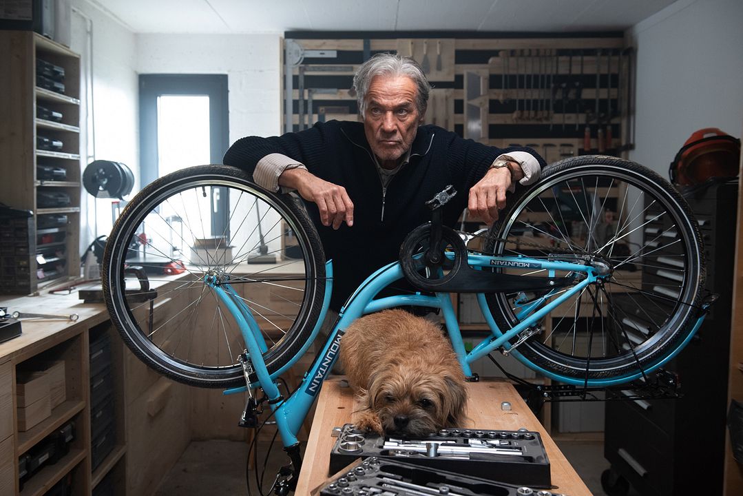 Ein fast perfekter Antrag : Bild Heiner Lauterbach