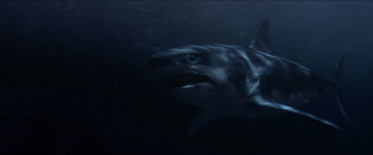 Shark Terror : Bild