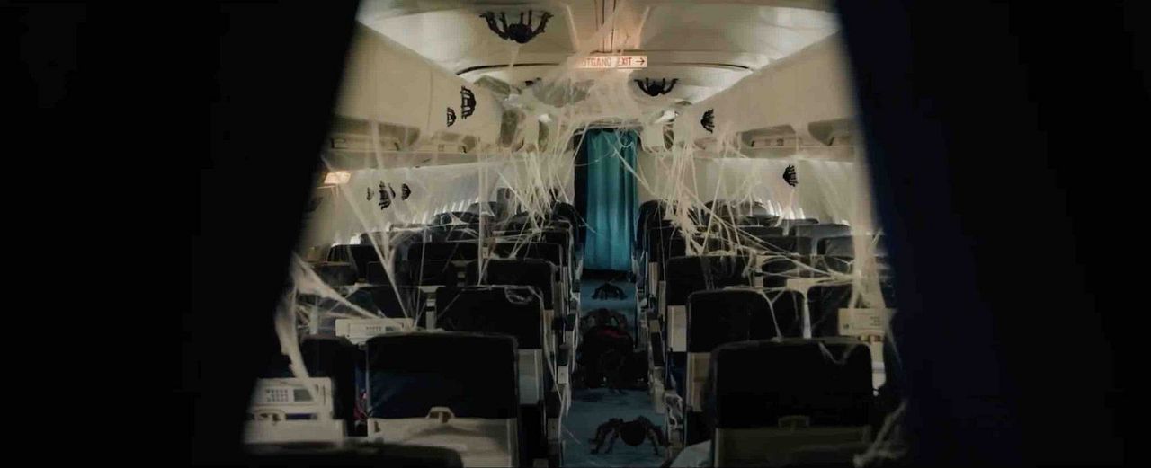 Spiders On A Plane : Bild