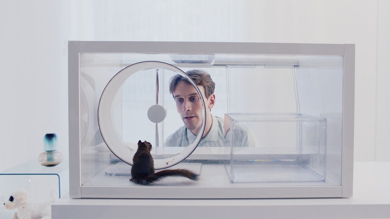 Das Eichhörnchen : Bild