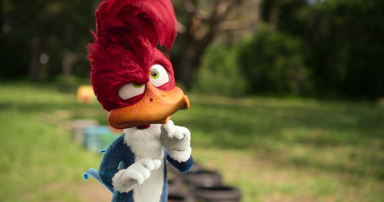 Woody Woodpecker geht ins Camp : Bild