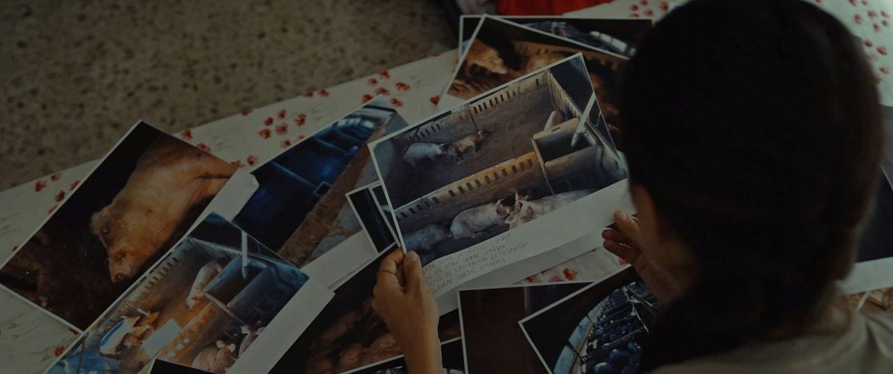 Food For Profit : Bild