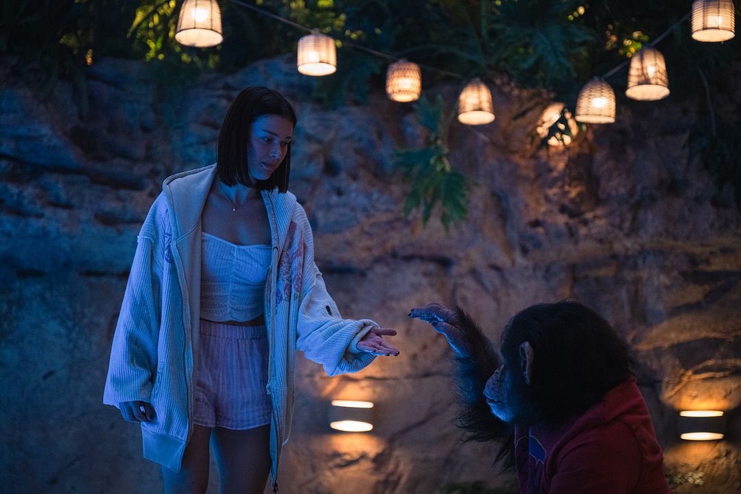 Primate : Bild Miguel Torres Umba, Jess Alexander