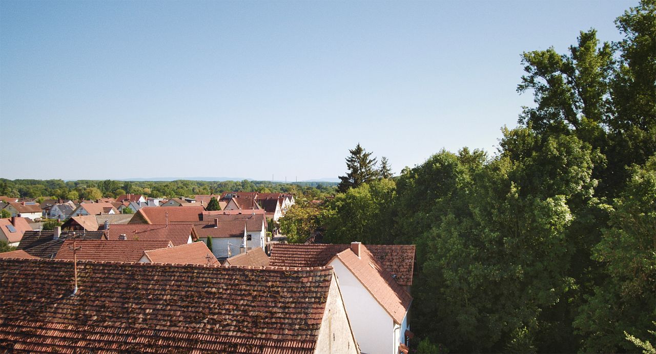 Das Ungesagte : Bild