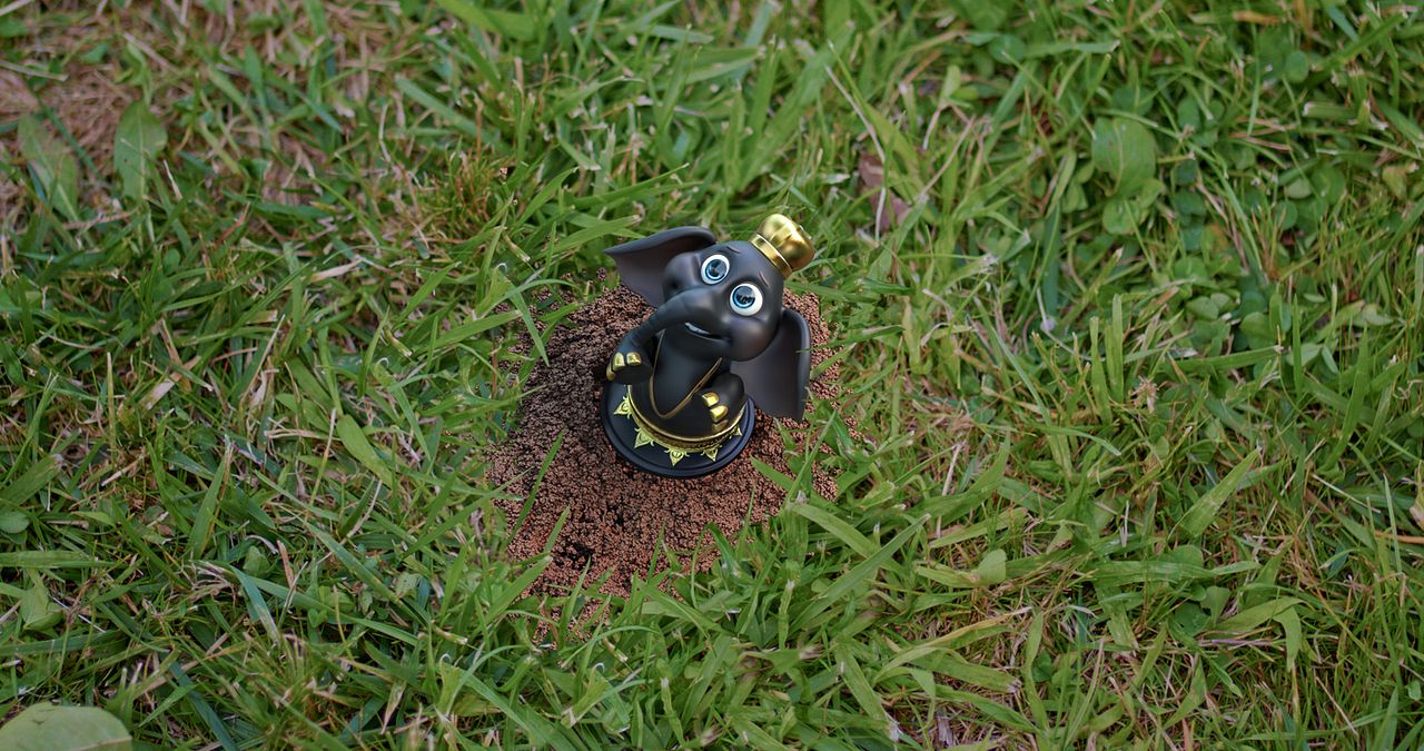 ŞamPİYONlar : Bild