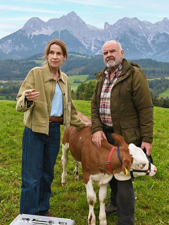 Die Maiwald: Verstärkung : Kinoposter