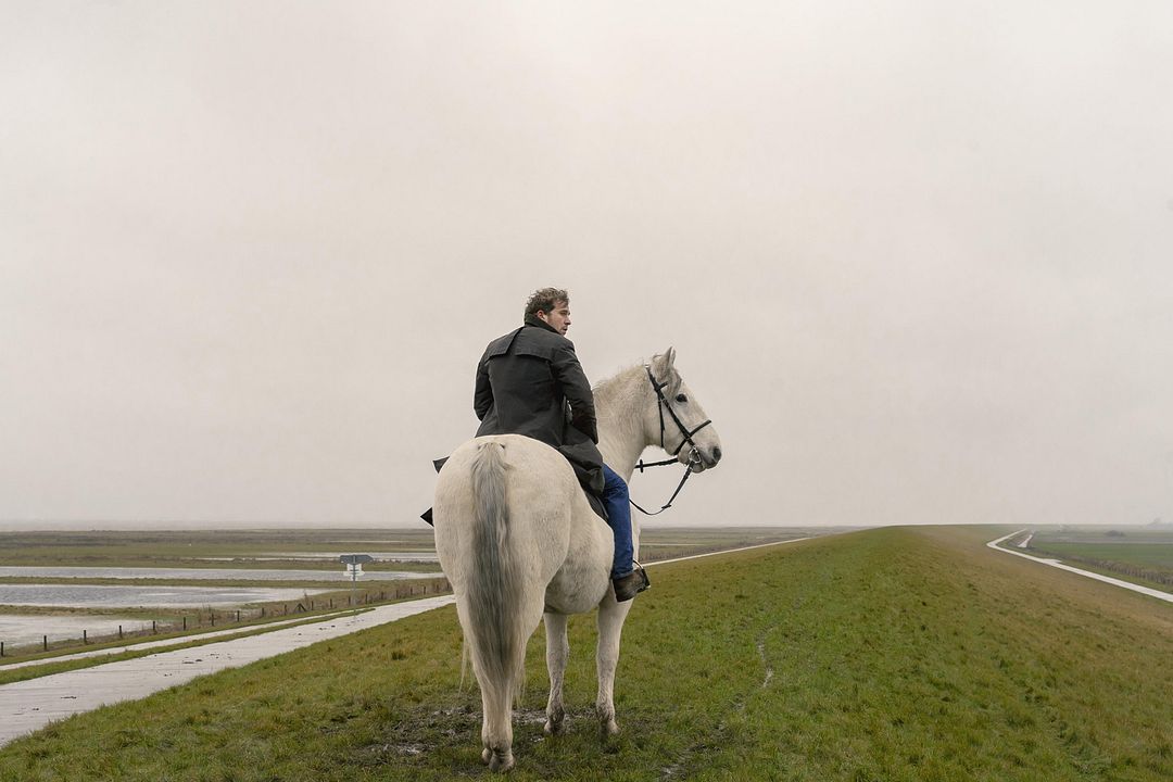 Der Schimmelreiter : Bild