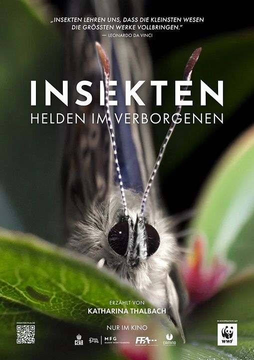 Insekten - Helden im Verborgenen : Kinoposter