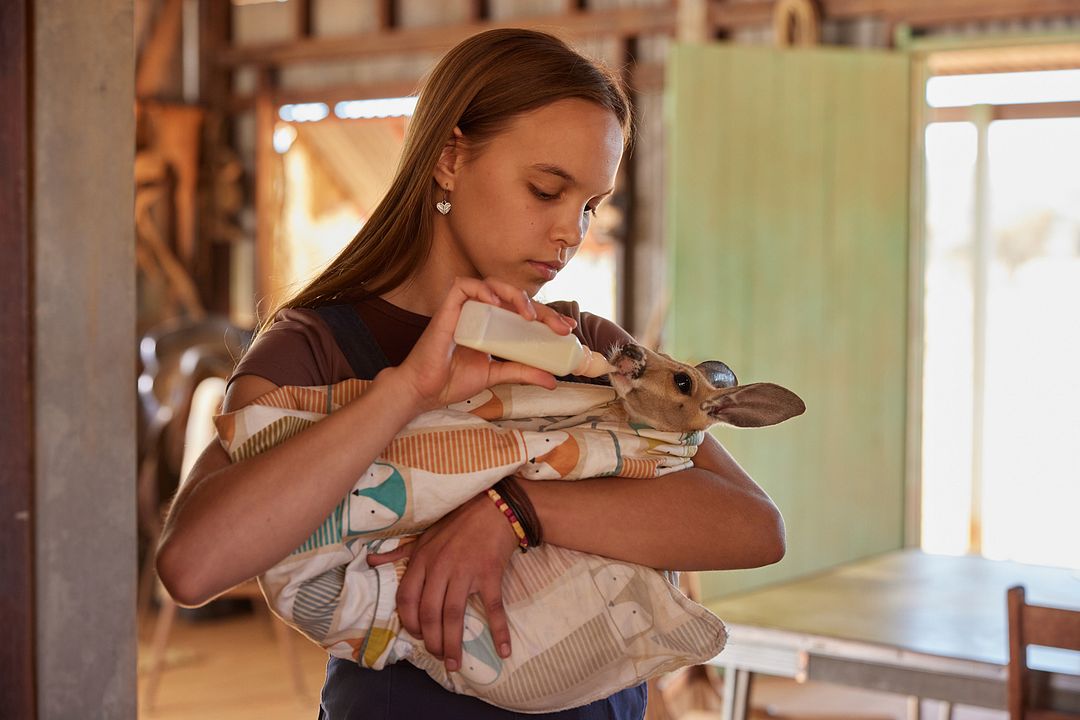 Lilly und die Kängurus : Bild