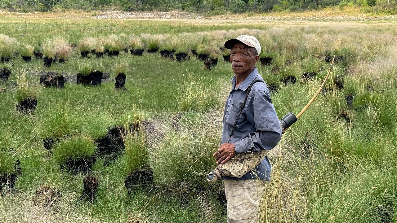 Ghost Elephants - Die Geister im Hochland Angolas : Bild