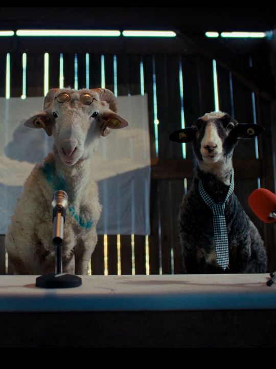 Sheep : Kinoposter